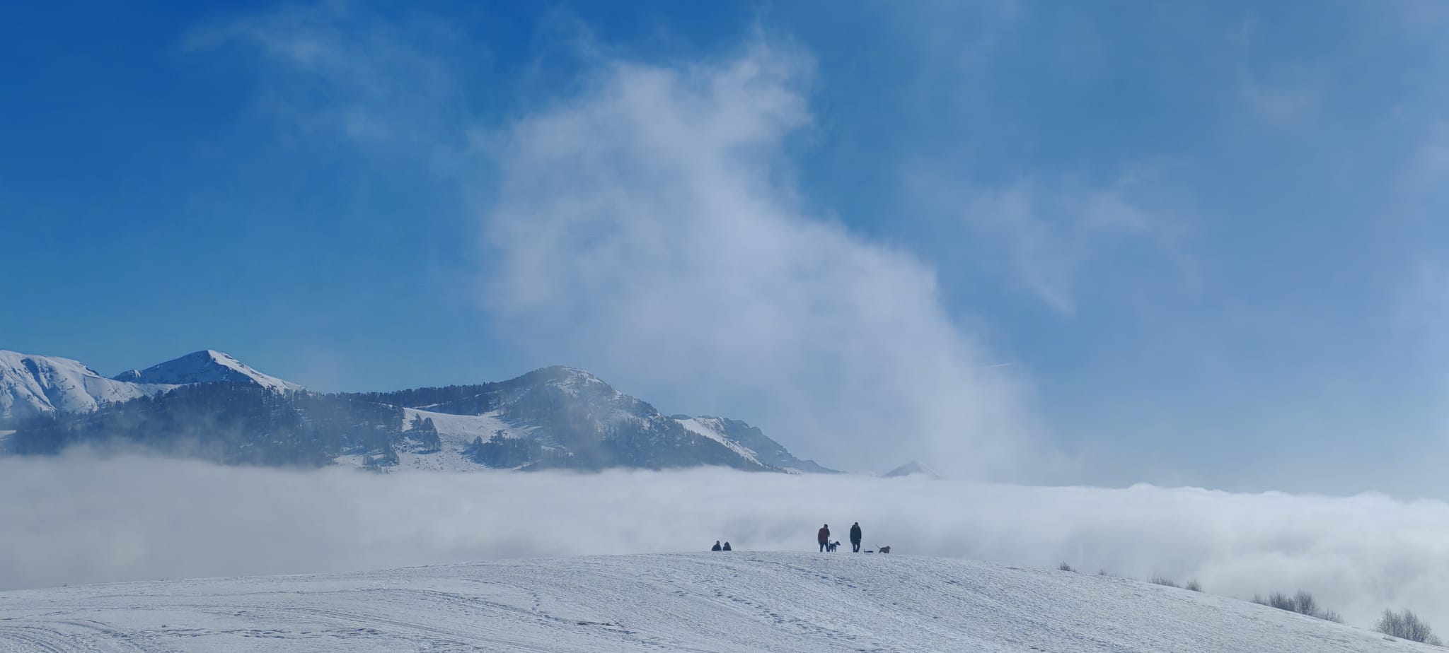 Foto n° 5 del trekking Monte Muggio Innevato